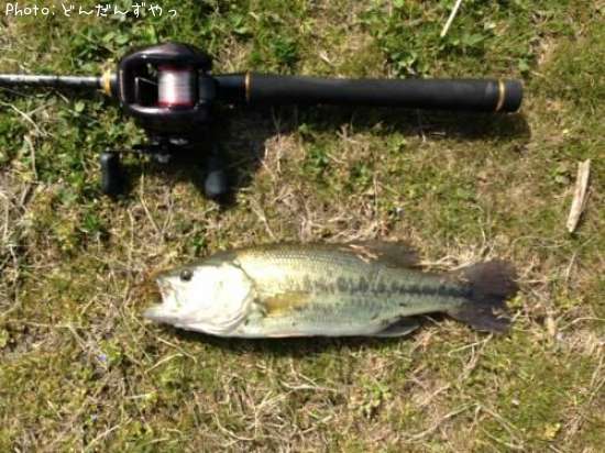 �֥�å��Х�