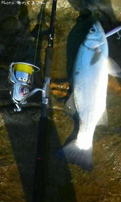 �ҥ饹����