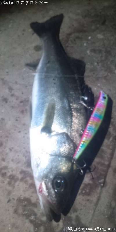 �����Х�