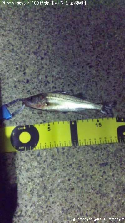 �����Х�