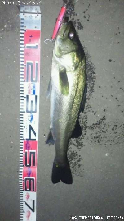 �����Х�