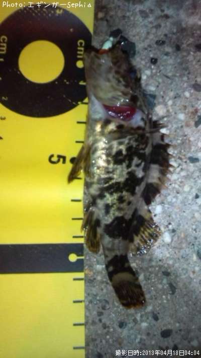 �����Υ���Х�