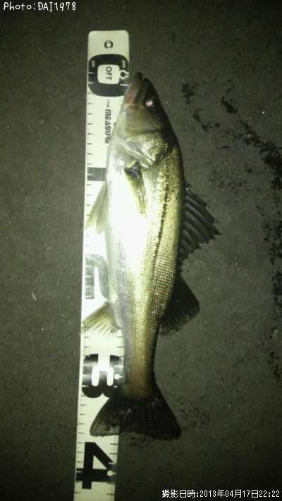 �����Х�����Х�