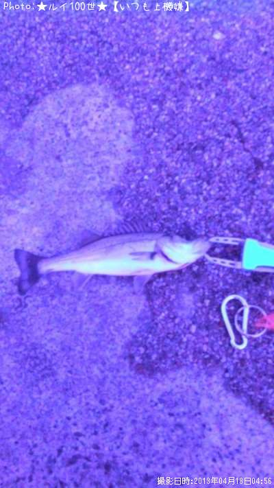 �����Х�