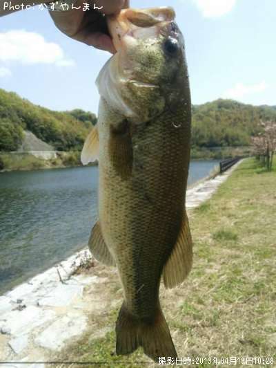 �֥�å��Х�