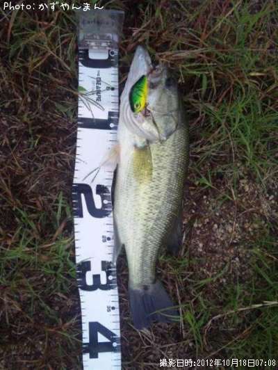 �֥�å��Х�