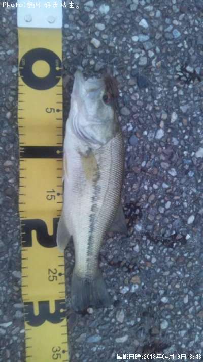 �֥�å��Х�