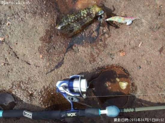 �����ꥤ��