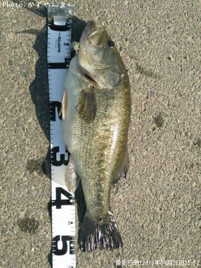 �֥�å��Х�