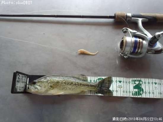 �֥�å��Х�