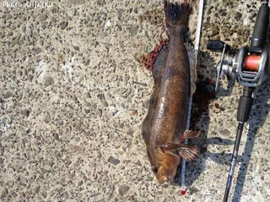 �����ʥ�