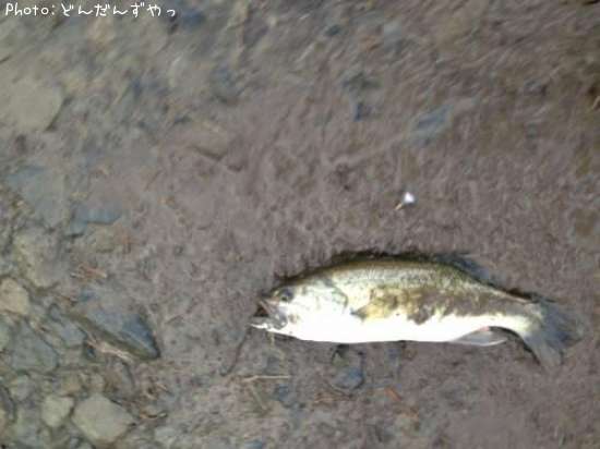 �֥�å��Х�