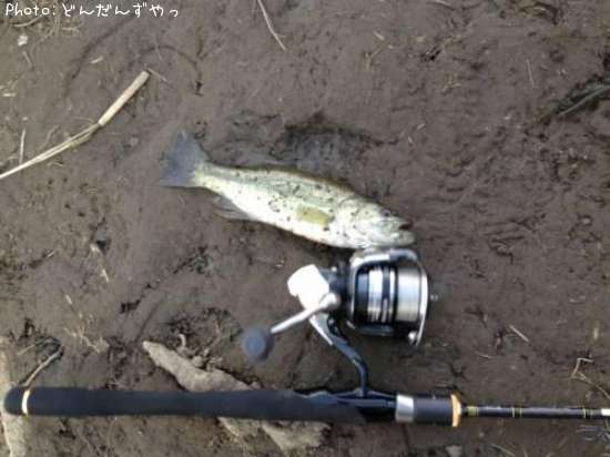 �֥�å��Х�