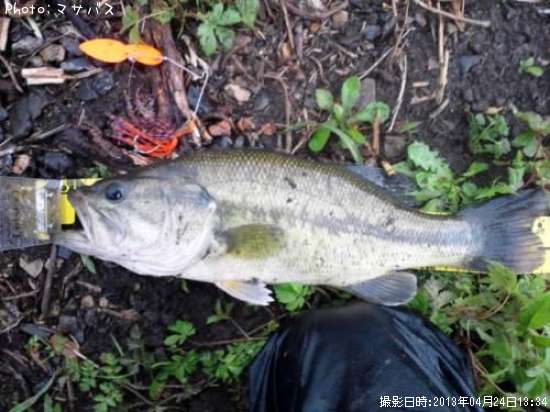 �֥�å��Х�