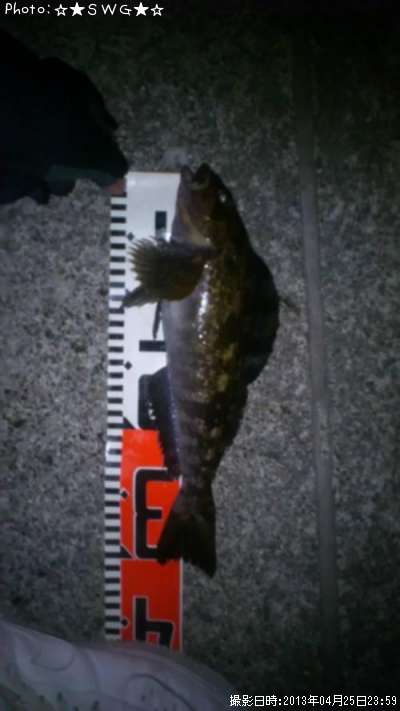 �����ʥ�