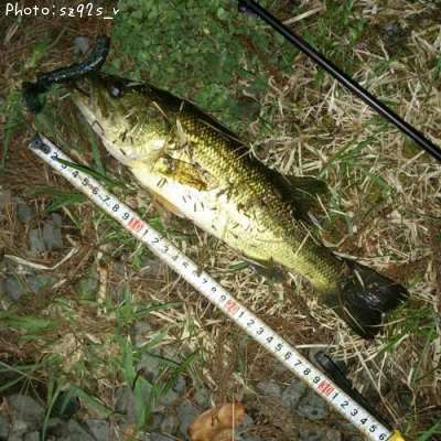 �֥�å��Х�