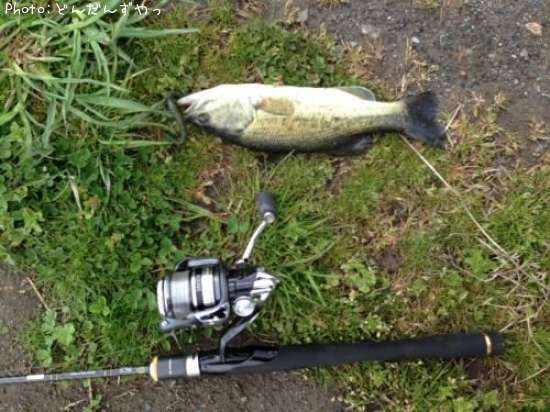 �֥�å��Х�