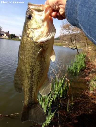 �֥�å��Х�