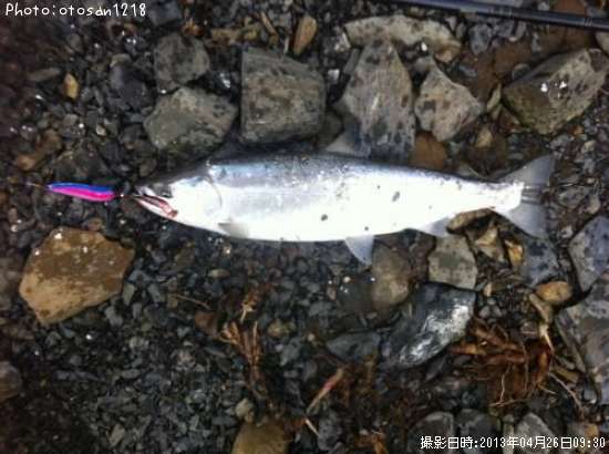 ������ޥ�