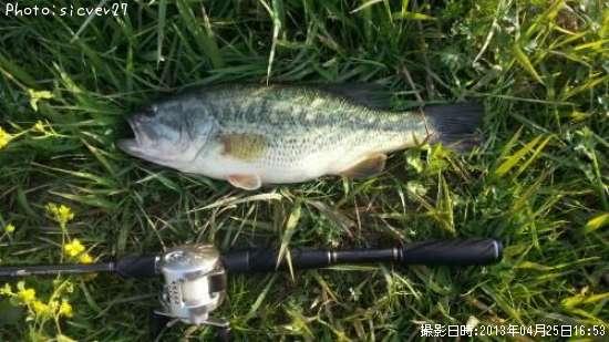 �֥�å��Х�