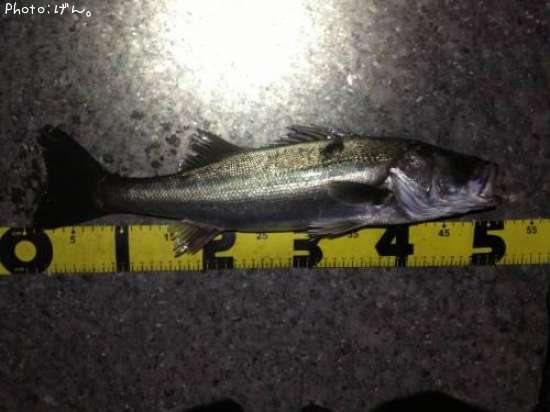 �����Х�