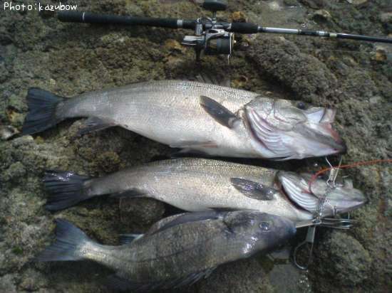 �ҥ饹����