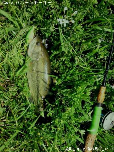 �֥�å��Х�