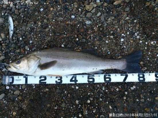 �����Х�