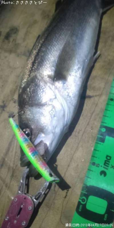 �����Х�