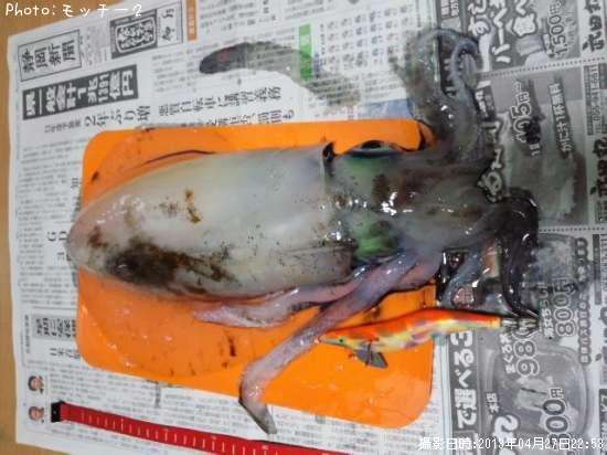 �����ꥤ��