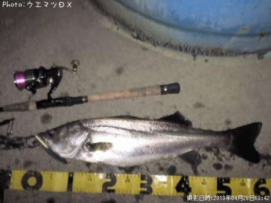 �����Х�