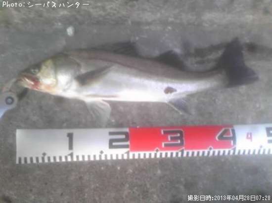 �����Х�