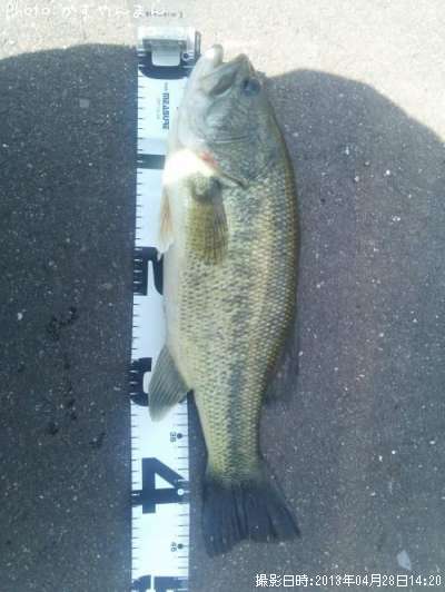 �֥�å��Х�