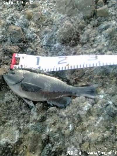 �����᥸��