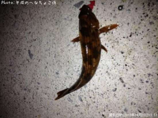 �����ʥ�