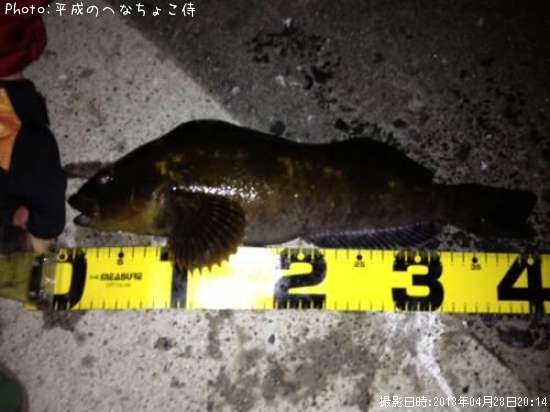 �����ʥ�