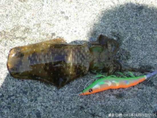 �����ꥤ��