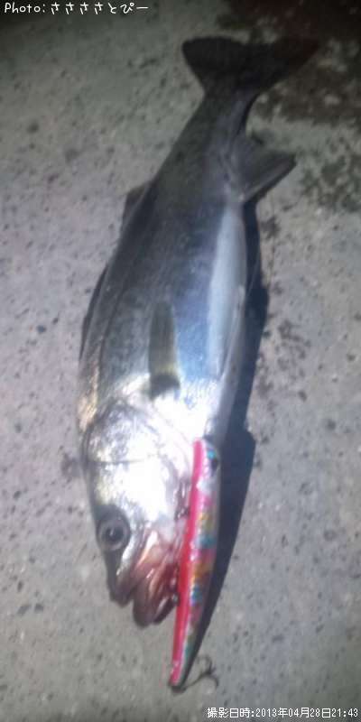 �����Х�