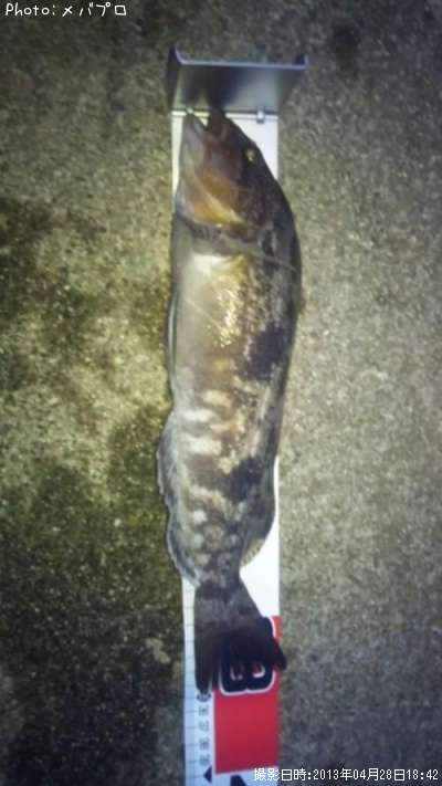 �����ʥ�