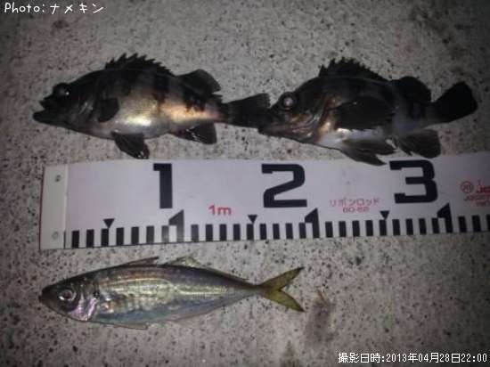 ��Ф������