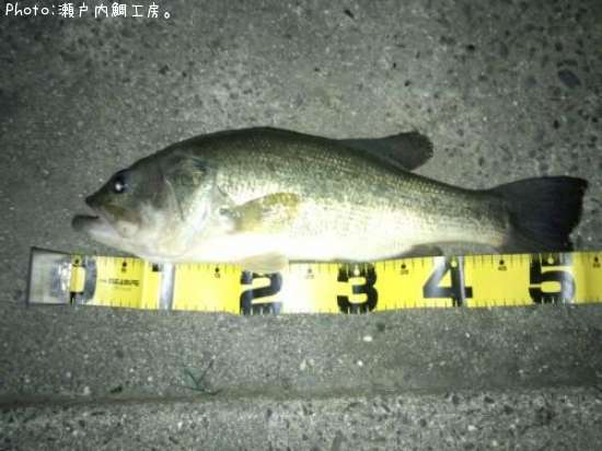 �֥�å��Х�