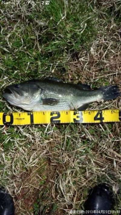 �֥�å��Х�