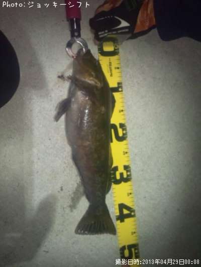 �����ʥ�