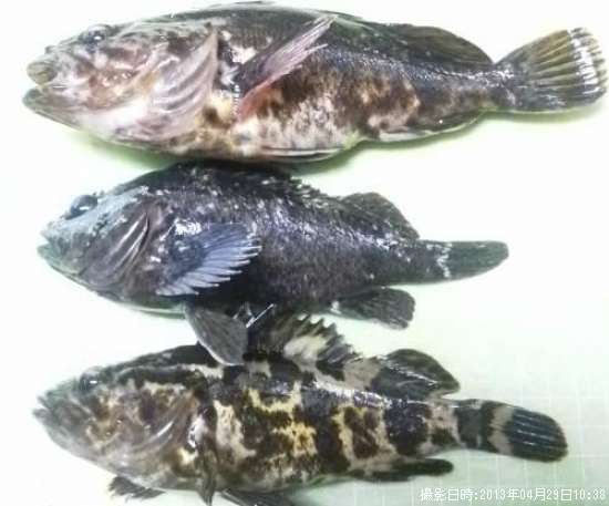 �����Υ���Х����饽��