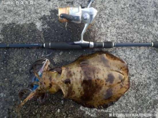 �����ꥤ��