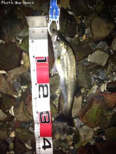 �����Х�