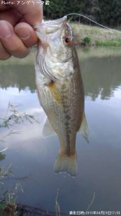 �֥�å��Х�