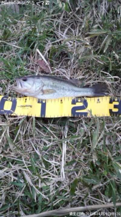 �֥�å��Х�