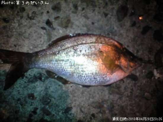 ���ߥ��ʥ�