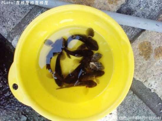 �ϥ�����